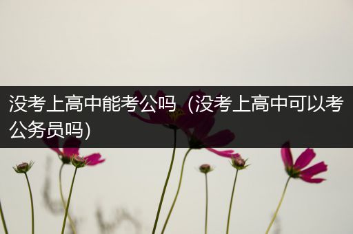 没考上高中能考公吗（没考上高中可以考公务员吗）