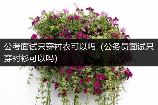 公考面试只穿衬衣可以吗（公务员面试只穿衬衫可以吗）