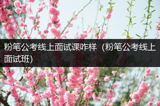 粉笔公考线上面试课咋样（粉笔公考线上面试班）