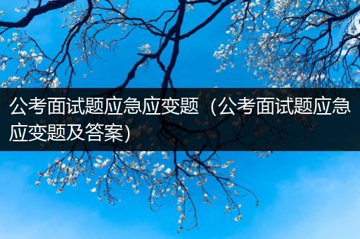 公考面试题应急应变题（公考面试题应急应变题及答案）