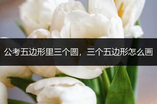公考五边形里三个圆，三个五边形怎么画