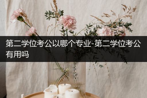 第二学位考公以哪个专业-第二学位考公有用吗