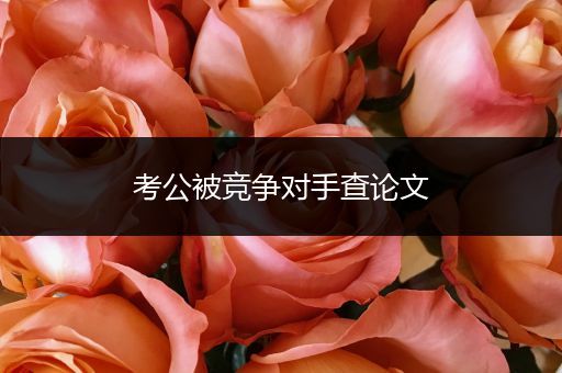 考公被竞争对手查论文