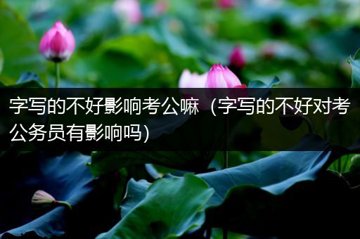 字写的不好影响考公嘛（字写的不好对考公务员有影响吗）
