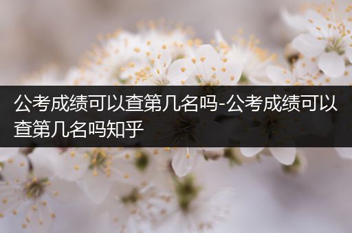 公考成绩可以查第几名吗-公考成绩可以查第几名吗知乎