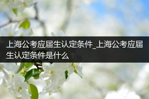 上海公考应届生认定条件_上海公考应届生认定条件是什么