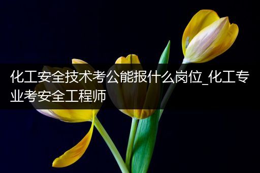 化工安全技术考公能报什么岗位_化工专业考安全工程师