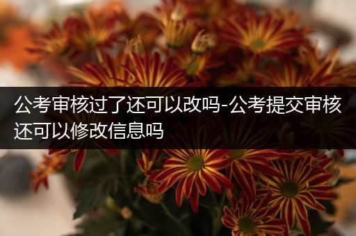 公考审核过了还可以改吗-公考提交审核还可以修改信息吗