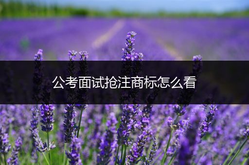 公考面试抢注商标怎么看