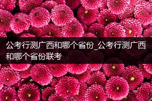 公考行测广西和哪个省份_公考行测广西和哪个省份联考
