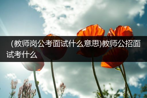 （教师岗公考面试什么意思)教师公招面试考什么
