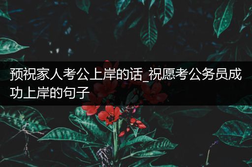 预祝家人考公上岸的话_祝愿考公务员成功上岸的句子