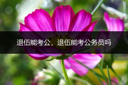 退伍能考公，退伍能考公务员吗