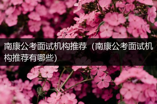 南康公考面试机构推荐（南康公考面试机构推荐有哪些）