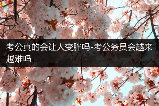 考公真的会让人变胖吗-考公务员会越来越难吗