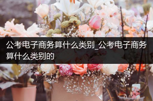 公考电子商务算什么类别_公考电子商务算什么类别的