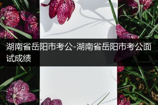 湖南省岳阳市考公-湖南省岳阳市考公面试成绩