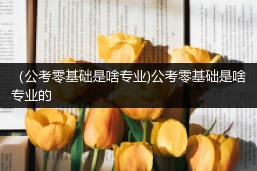（公考零基础是啥专业)公考零基础是啥专业的