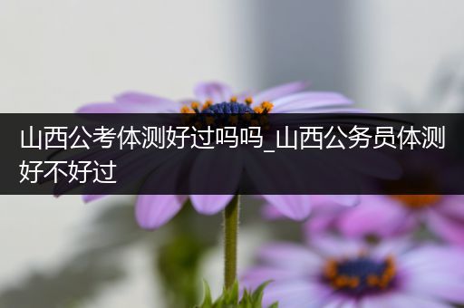 山西公考体测好过吗吗_山西公务员体测好不好过