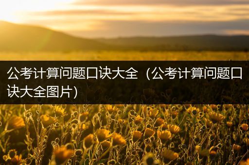 公考计算问题口诀大全（公考计算问题口诀大全图片）