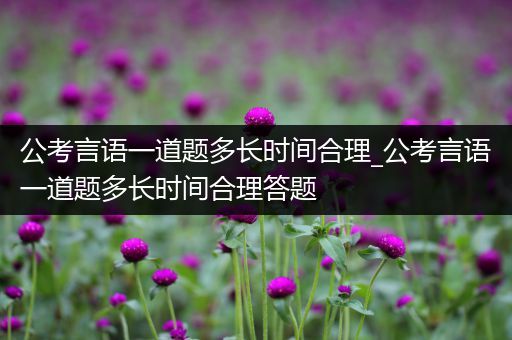 公考言语一道题多长时间合理_公考言语一道题多长时间合理答题