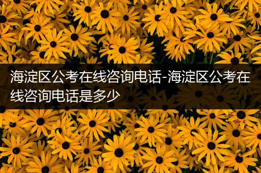 海淀区公考在线咨询电话-海淀区公考在线咨询电话是多少