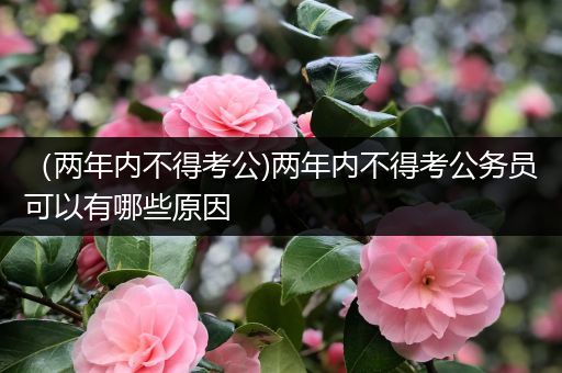 （两年内不得考公)两年内不得考公务员可以有哪些原因