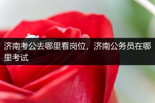济南考公去哪里看岗位，济南公务员在哪里考试