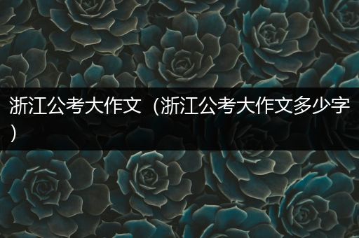 浙江公考大作文（浙江公考大作文多少字）