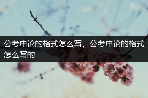 公考申论的格式怎么写，公考申论的格式怎么写的