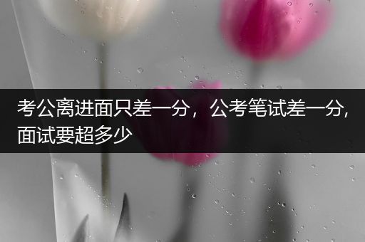 考公离进面只差一分，公考笔试差一分,面试要超多少