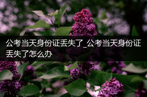 公考当天身份证丢失了_公考当天身份证丢失了怎么办