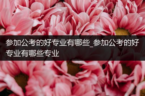 参加公考的好专业有哪些_参加公考的好专业有哪些专业