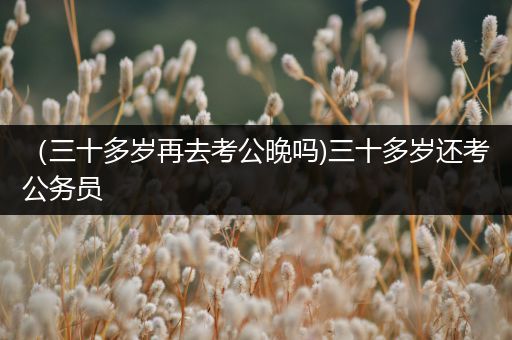 （三十多岁再去考公晚吗)三十多岁还考公务员