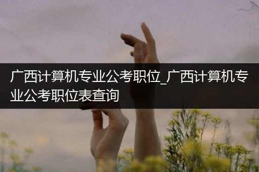 广西计算机专业公考职位_广西计算机专业公考职位表查询