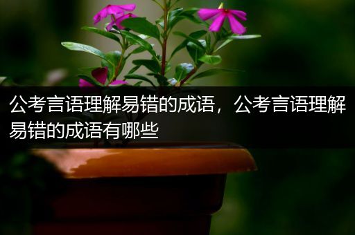 公考言语理解易错的成语，公考言语理解易错的成语有哪些