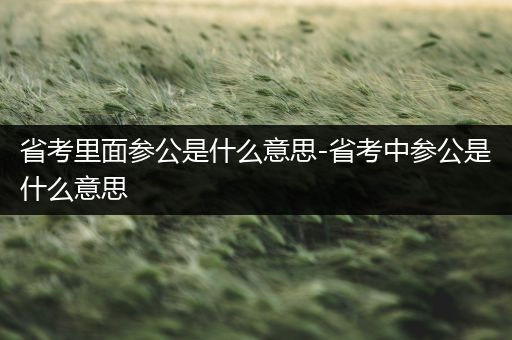 省考里面参公是什么意思-省考中参公是什么意思