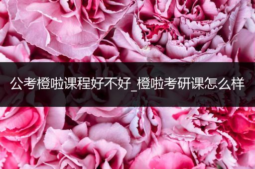 公考橙啦课程好不好_橙啦考研课怎么样