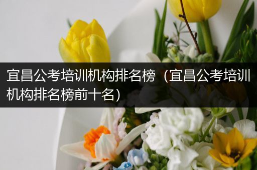 宜昌公考培训机构排名榜（宜昌公考培训机构排名榜前十名）