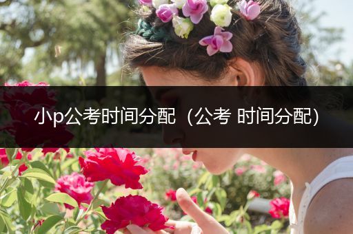 小p公考时间分配（公考 时间分配）