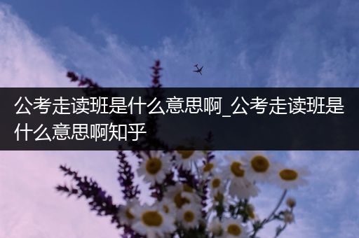 公考走读班是什么意思啊_公考走读班是什么意思啊知乎