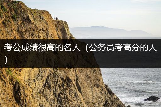 考公成绩很高的名人（公务员考高分的人）