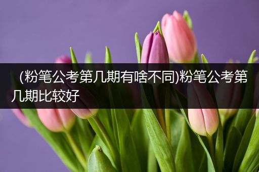 （粉笔公考第几期有啥不同)粉笔公考第几期比较好