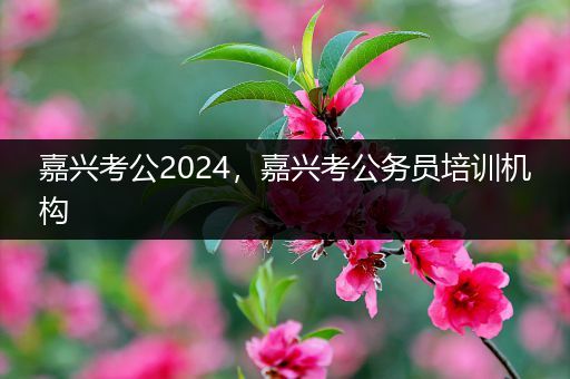 嘉兴考公2024，嘉兴考公务员培训机构