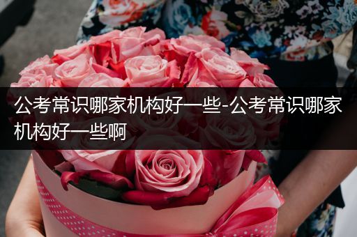 公考常识哪家机构好一些-公考常识哪家机构好一些啊