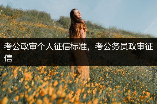 考公政审个人征信标准，考公务员政审征信