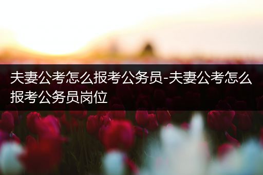 夫妻公考怎么报考公务员-夫妻公考怎么报考公务员岗位
