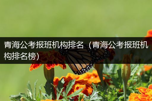 青海公考报班机构排名（青海公考报班机构排名榜）