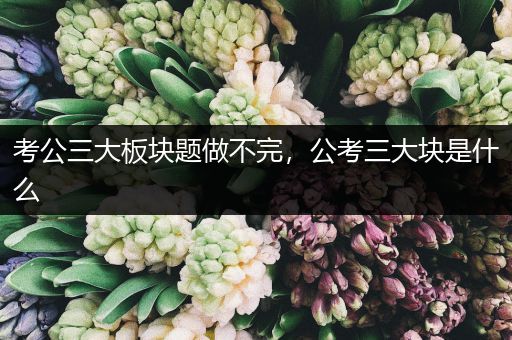 考公三大板块题做不完，公考三大块是什么