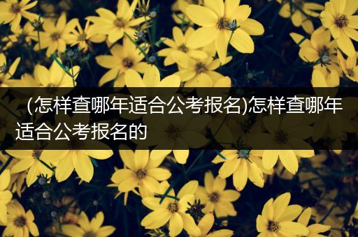 （怎样查哪年适合公考报名)怎样查哪年适合公考报名的